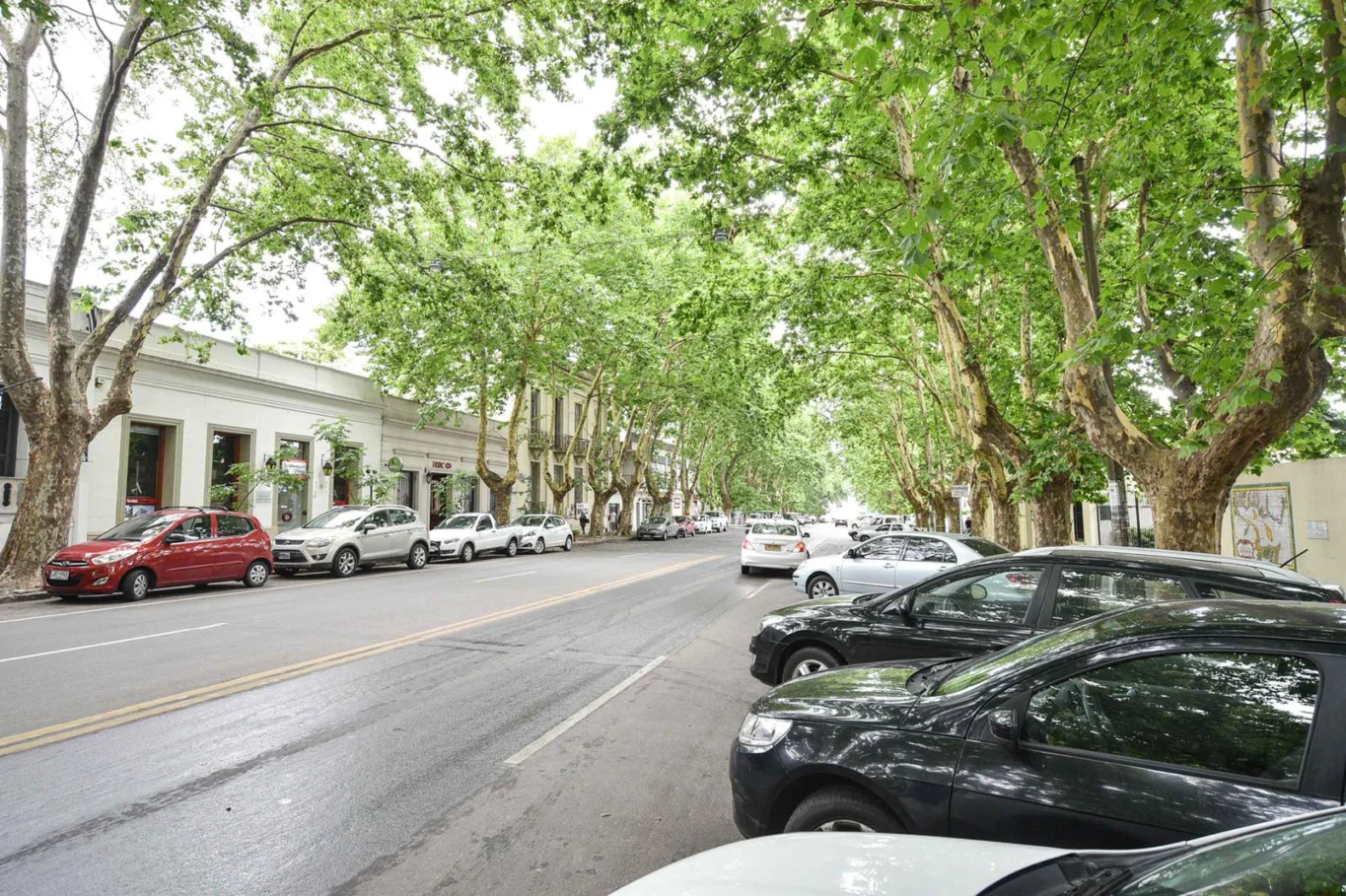 Local en Colonia del Sacramento, propiedad 80037 -Imagen 9