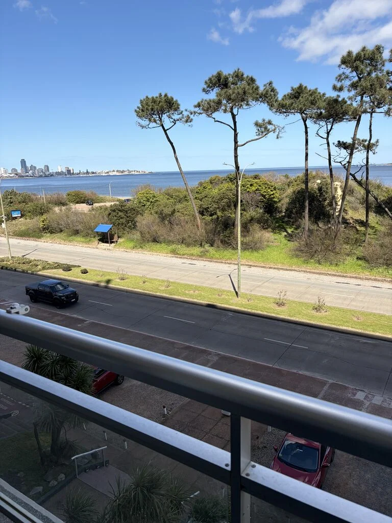 Apartamento en Playa Mansa, propiedad 294318 -Imagen 2