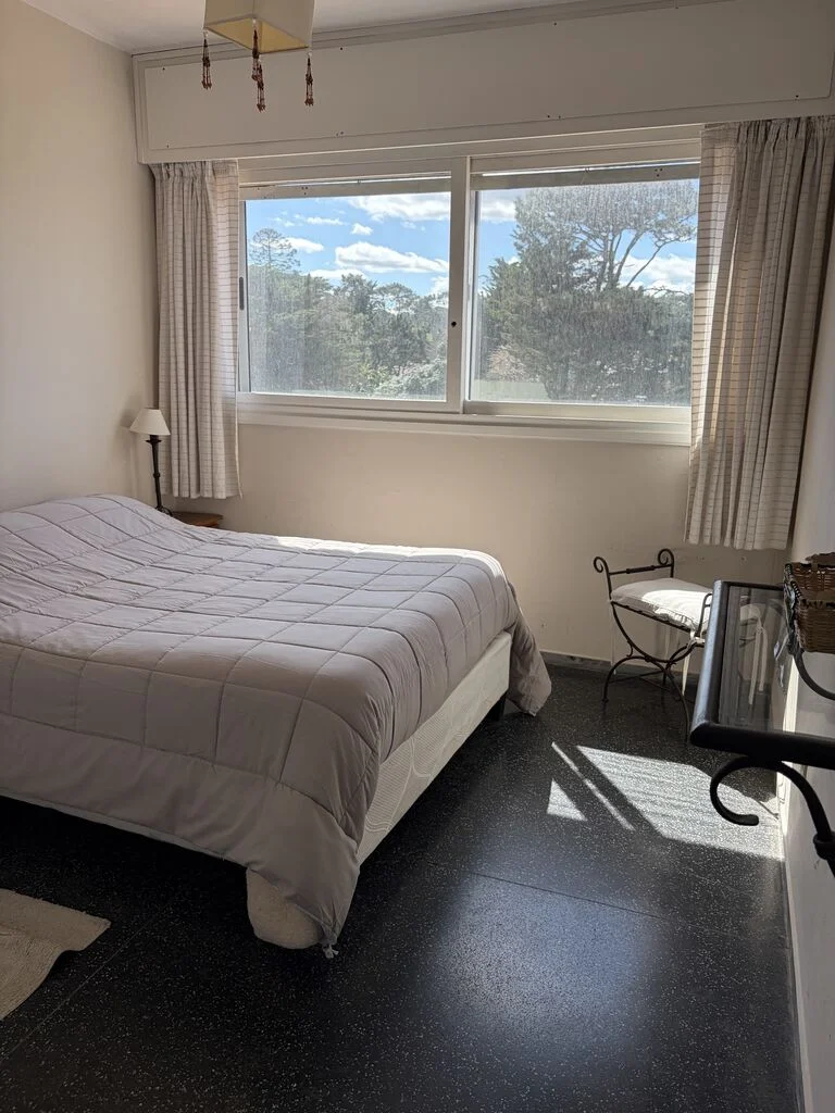 Apartamento en Playa Mansa, propiedad 294318 -Imagen 13