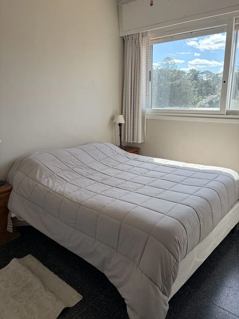 Apartamento en Playa Mansa, propiedad 294318 -Imagen 14