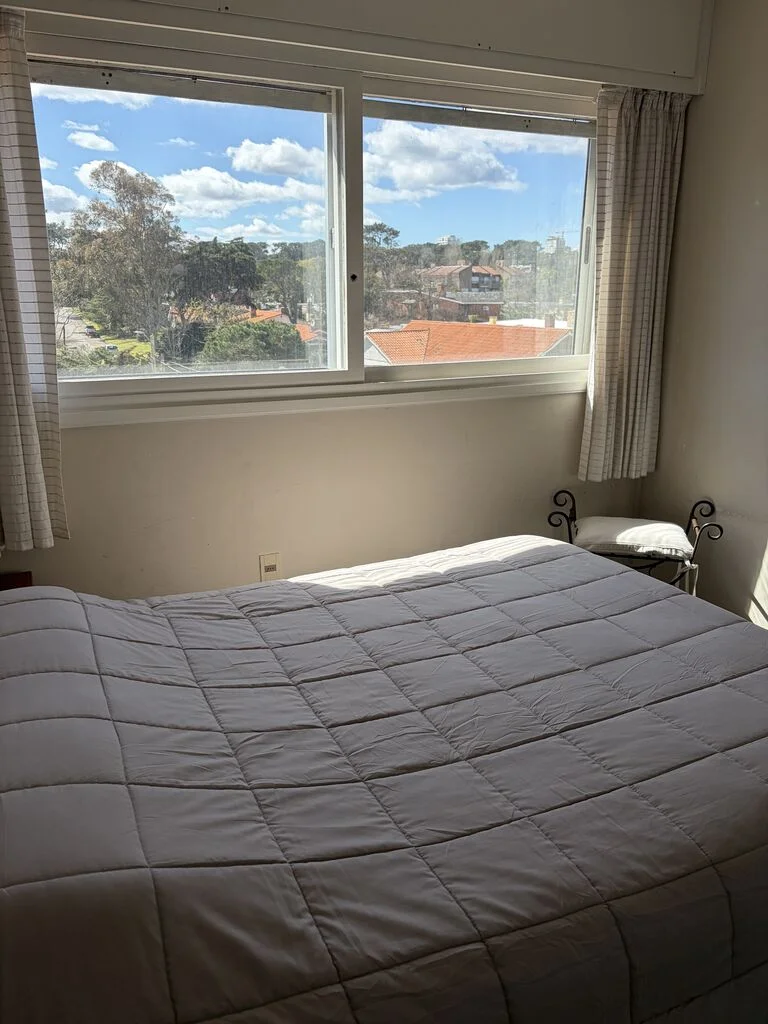 Apartamento en Playa Mansa, propiedad 294318 -Imagen 15