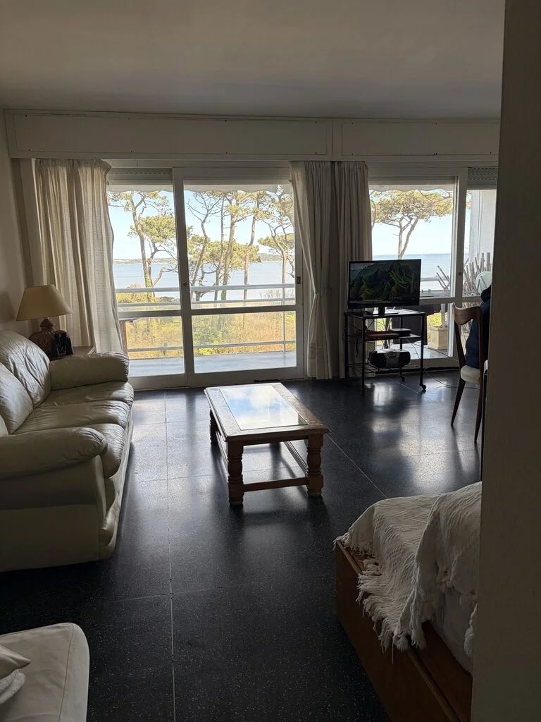 Apartamento en Playa Mansa, propiedad 294318 -Imagen 21