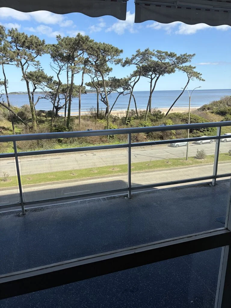 Apartamento en Playa Mansa, propiedad 294318 -Imagen 22