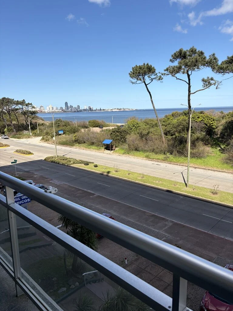 Apartamento en Playa Mansa, propiedad 294318 -Imagen 4