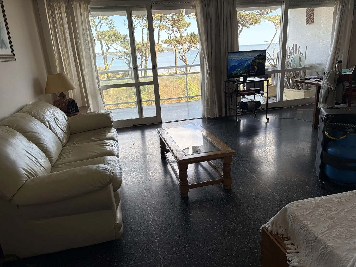 Apartamento en Playa Mansa, propiedad 294318 -Imagen 9