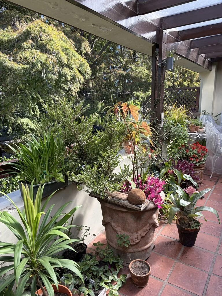 Apartamento en Carrasco, propiedad 294763 -Imagen 9