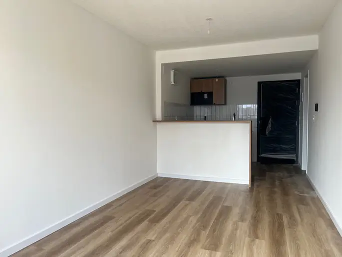 Apartamento En Alquiler En Cordón Monoambiente Muy Luminoso