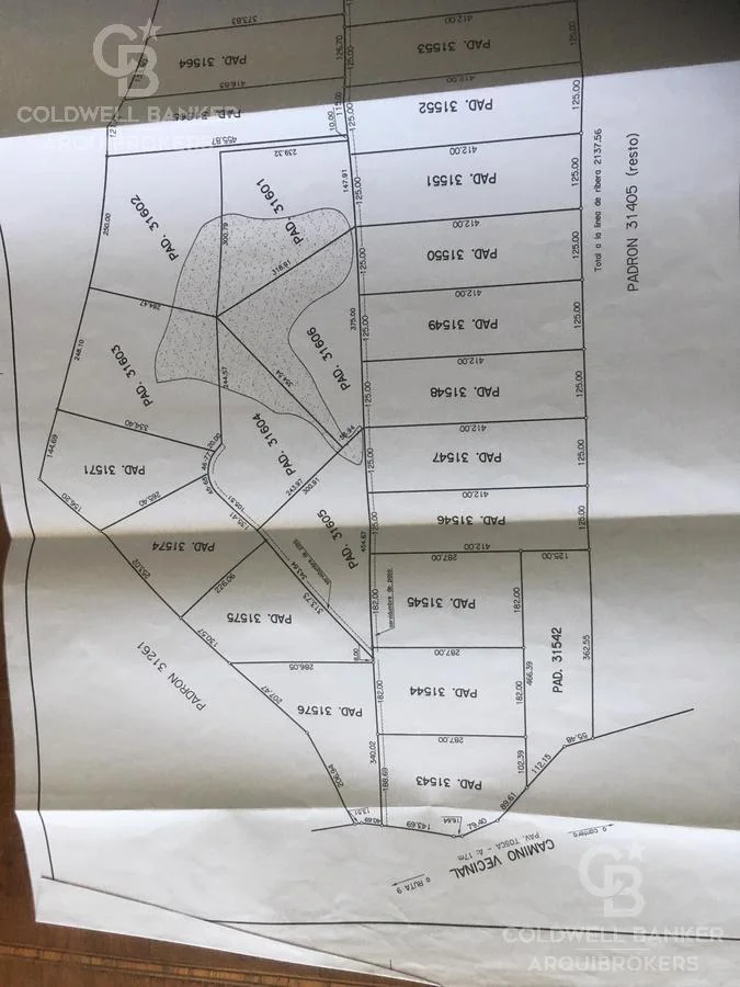 Chacra en Punta del Este, propiedad 227278 -Imagen 2