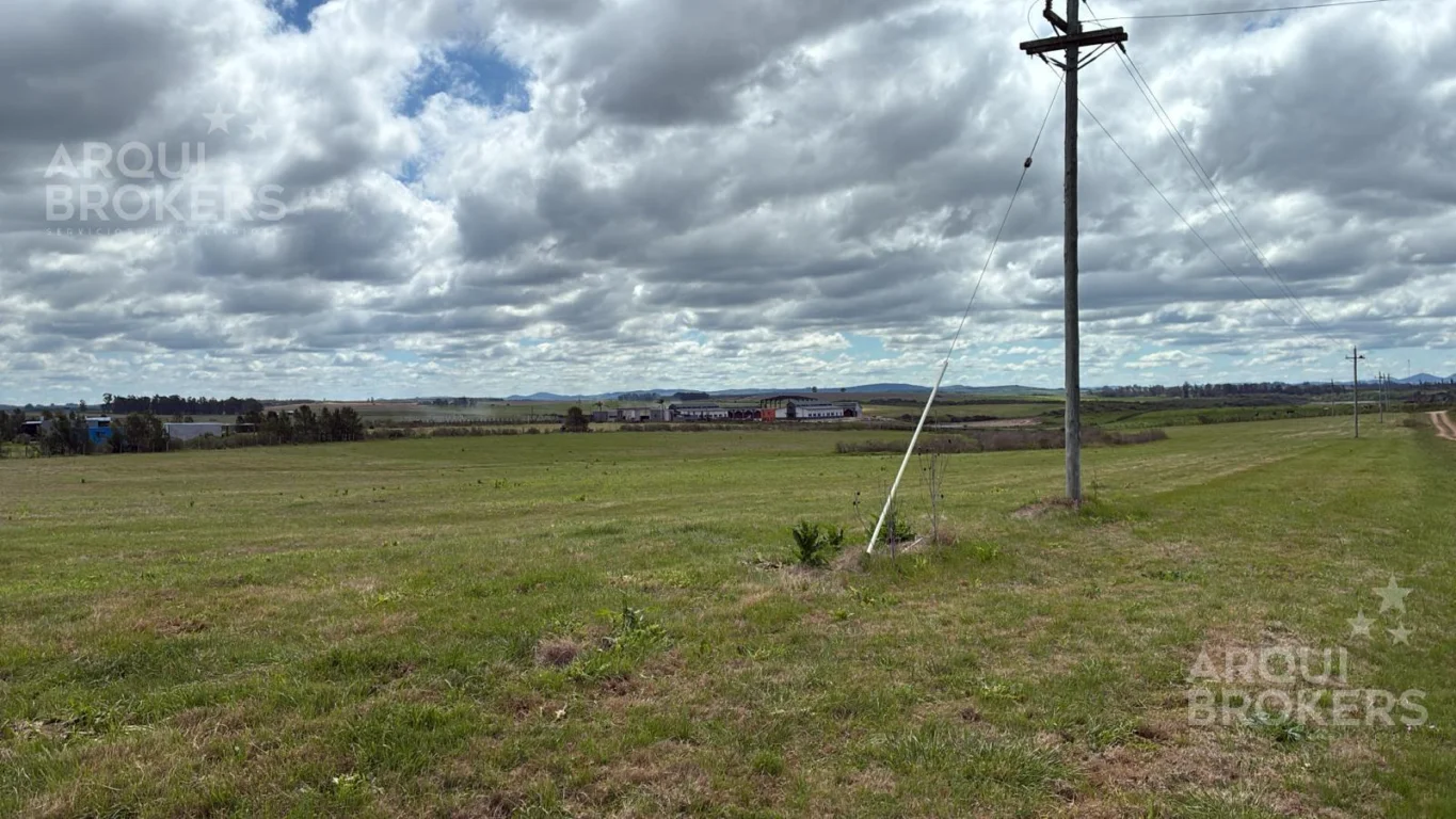 Chacra en Punta del Este, propiedad 227278 -Imagen 3