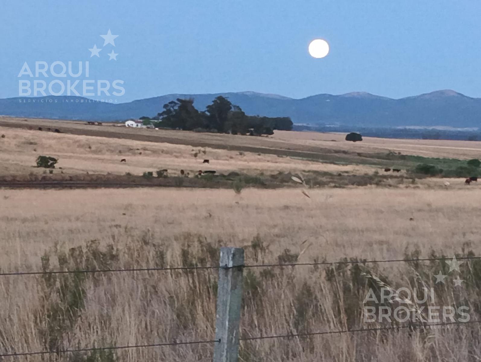 Chacra en Piedras de Afilar, propiedad 250009 -Imagen 1