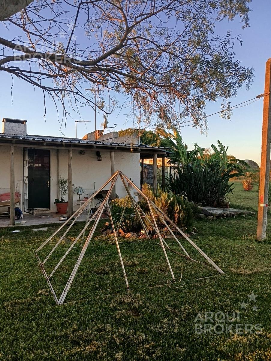 Chacra en Piedras de Afilar, propiedad 250009 -Imagen 8