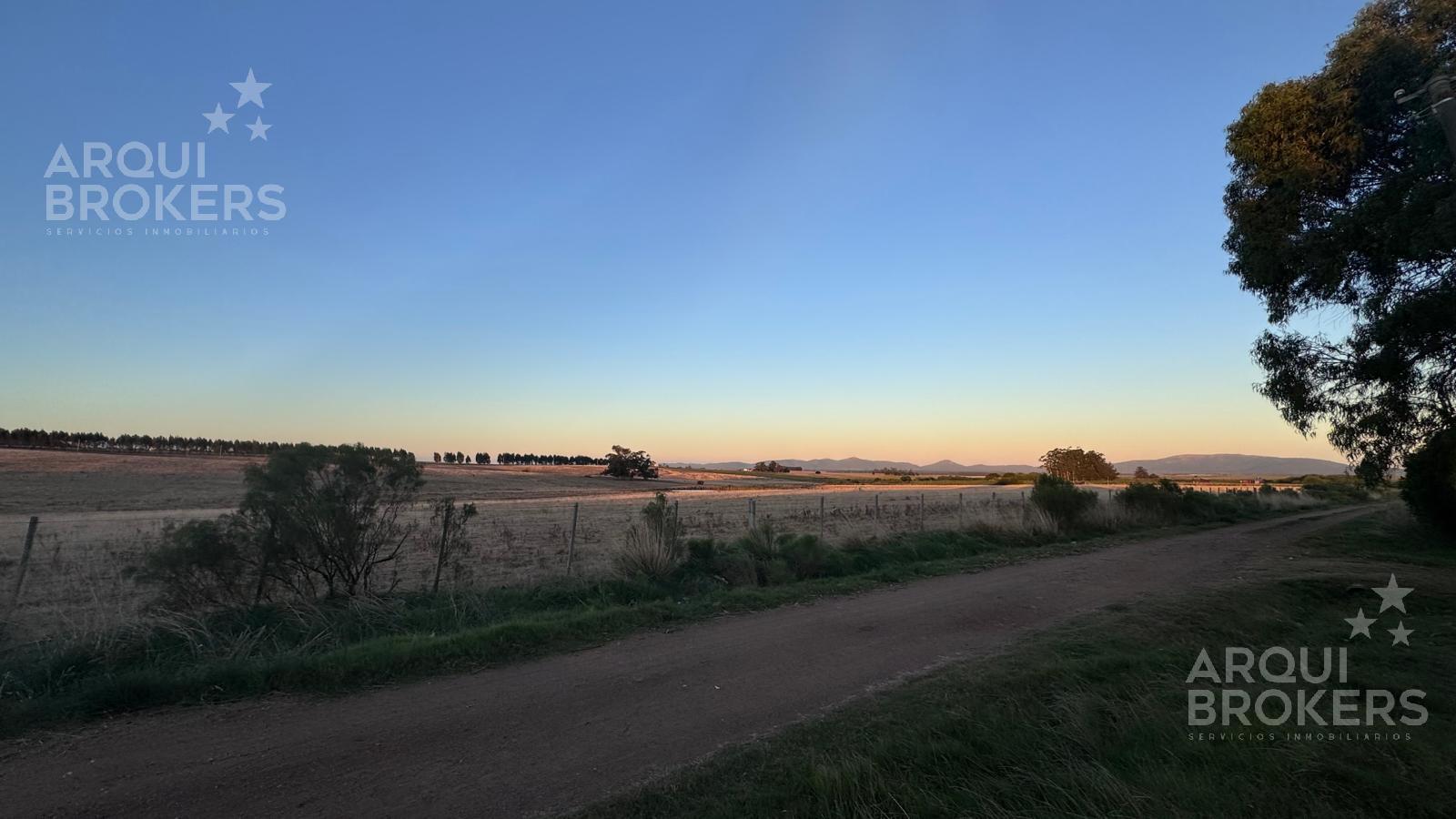 Chacra en Piedras de Afilar, propiedad 250009 -Imagen 18