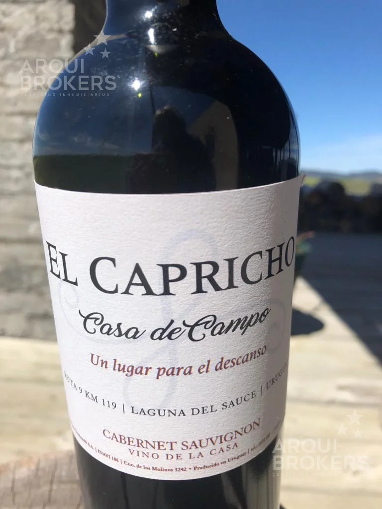 Chacra en Punta del Este, propiedad 258486 -Imagen 23