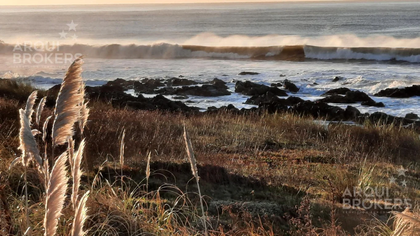 Terreno en Chihuahua, propiedad 263379 -Imagen 1