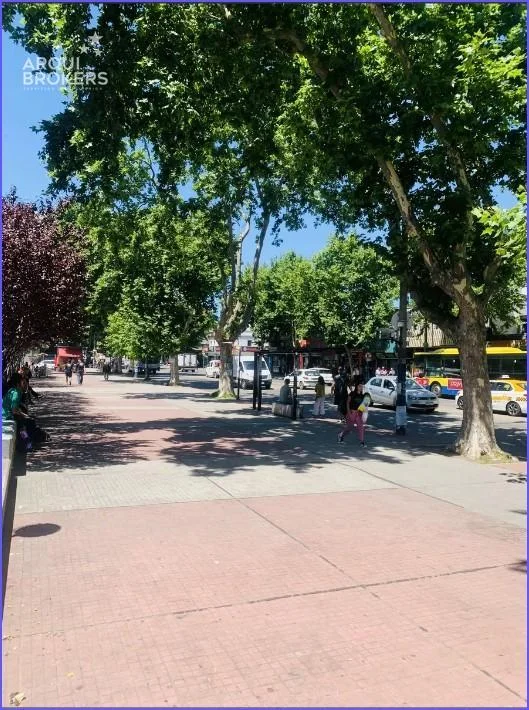 Terreno en Unión, propiedad 285065 -Imagen 3