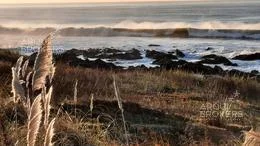 Terreno en Punta Ballena, propiedad 291891 -Imagen 7