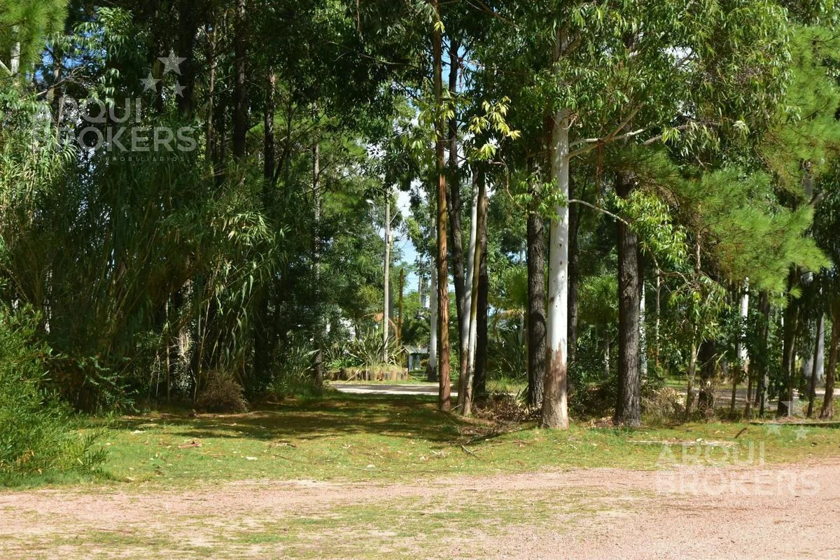 Apartamento en Ciudad de la Costa, propiedad 292509 -Imagen 1