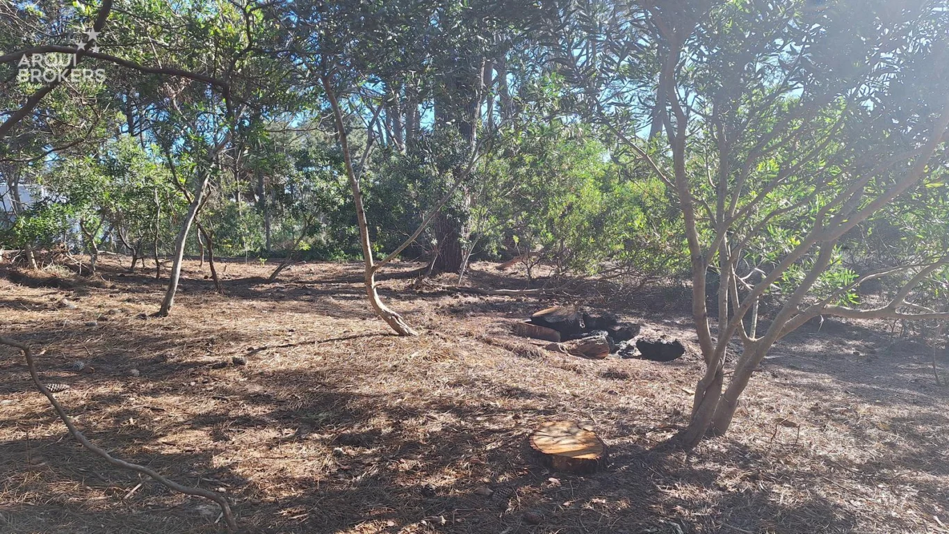 Terreno en Punta Ballena, propiedad 291891 -Imagen 2