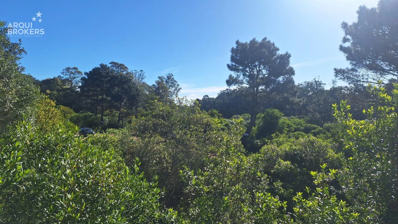 Terreno en Punta Ballena, propiedad 291891 -Imagen 3
