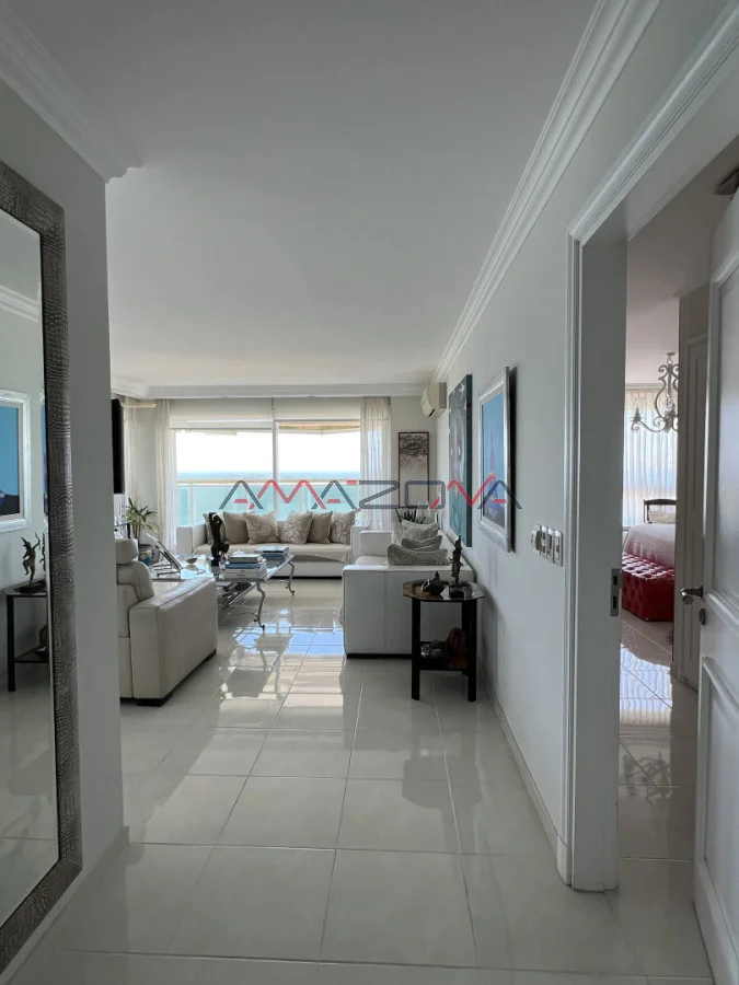 Apartamento en Playa Mansa, propiedad 248269 -Imagen 10