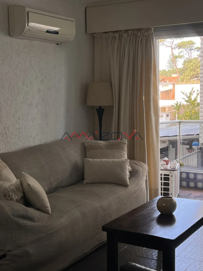 Apartamento en Playa Mansa, propiedad 273364 -Imagen 14