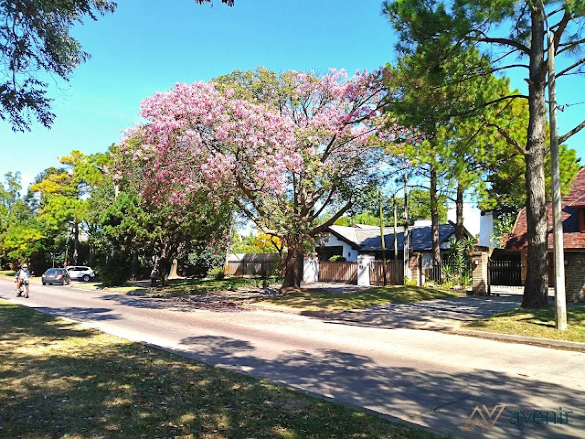 Casa en Carrasco, propiedad 292736 -Imagen 3