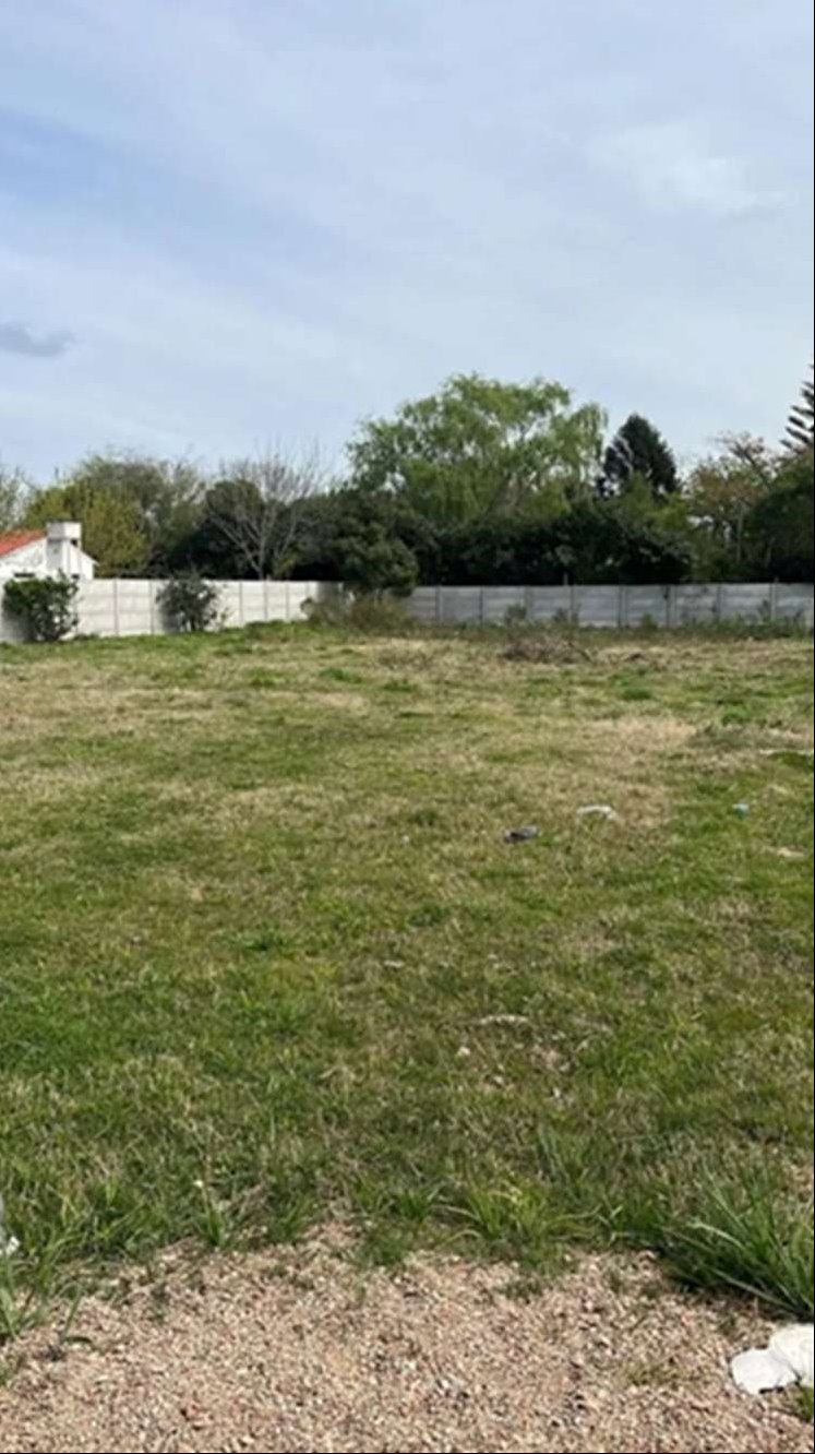 Terreno en Aeropuerto, propiedad 275047 -Imagen 6