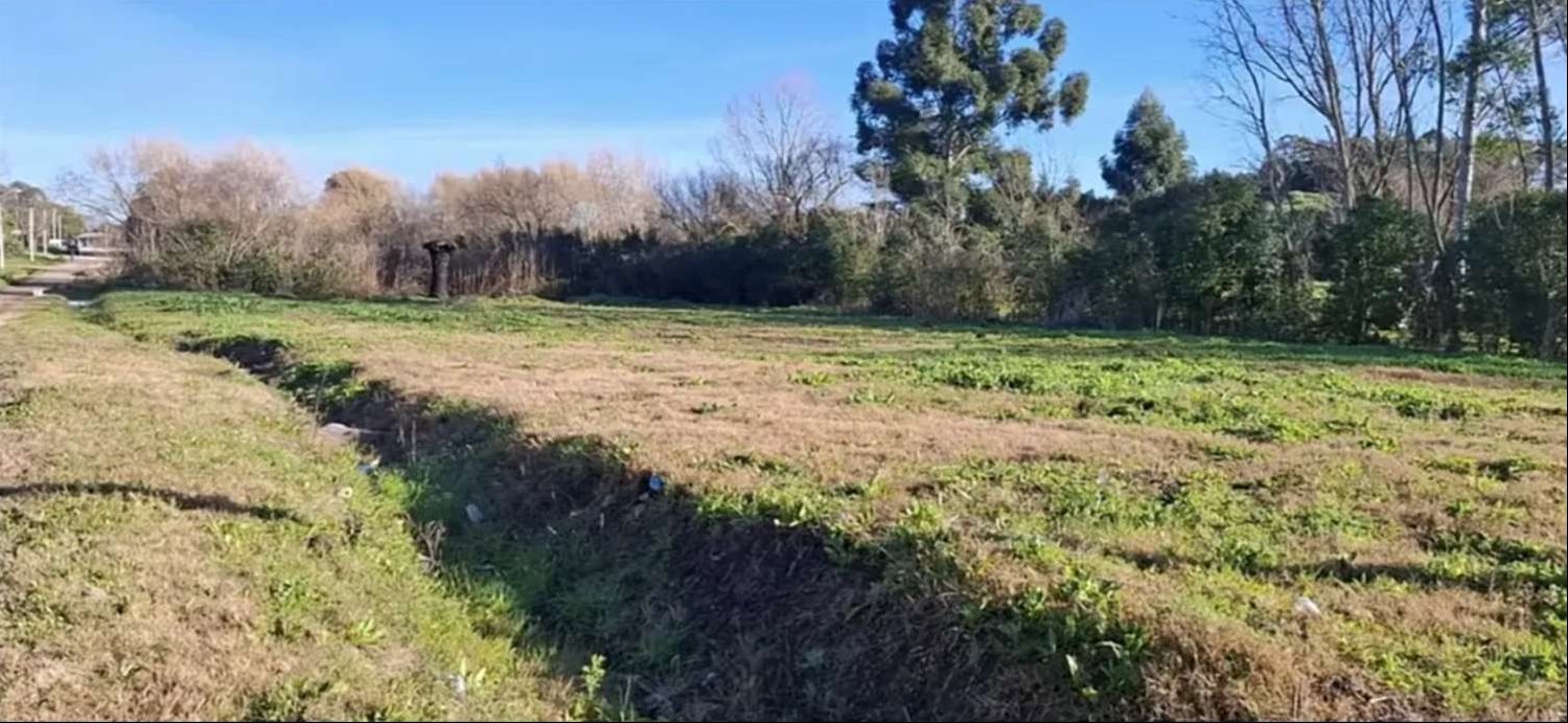 Terreno en Colinas de Carrasco, propiedad 275119 -Imagen 2