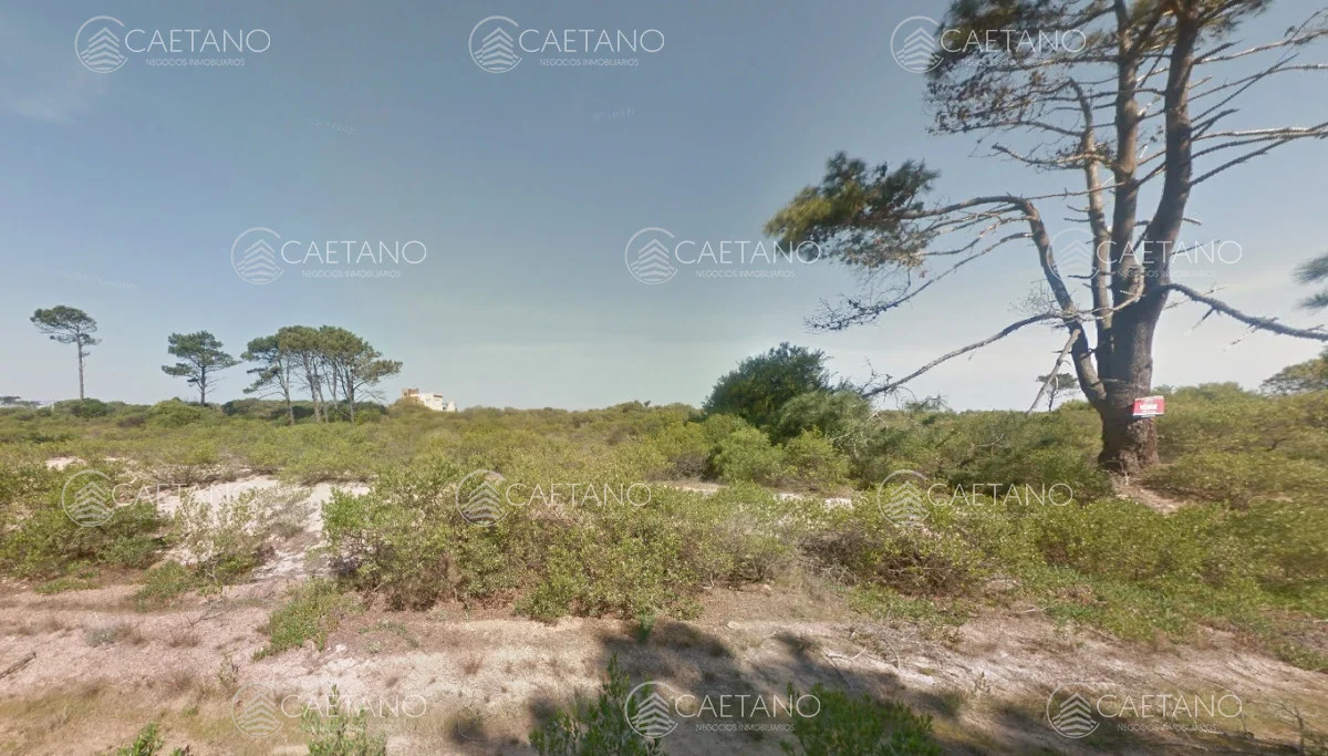 Terreno en Chihuahua, propiedad 208822 -Imagen 1