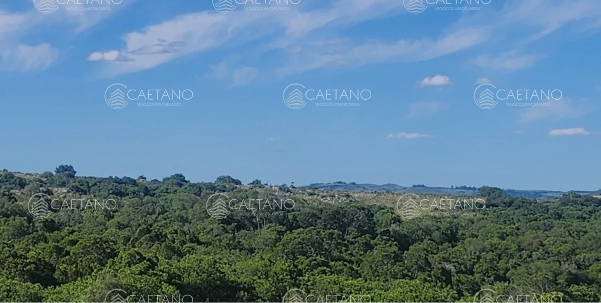 Chacra en Pueblo Eden, propiedad 212847 -Imagen 2