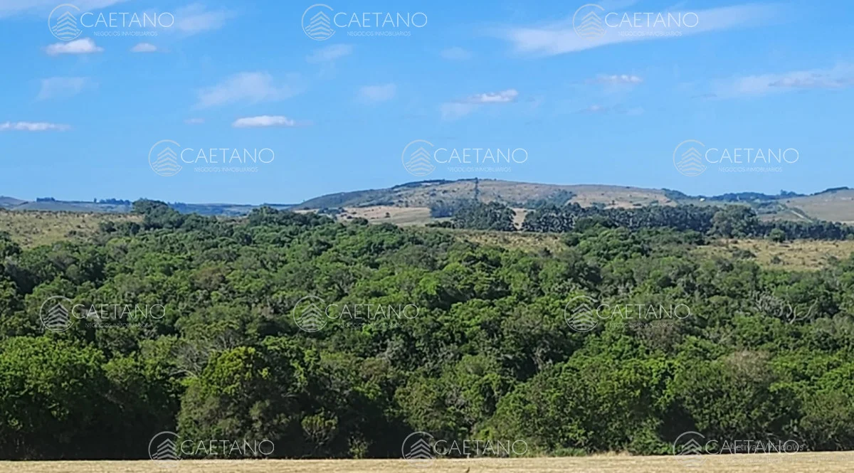Chacra en Pueblo Eden, propiedad 212847 -Imagen 3