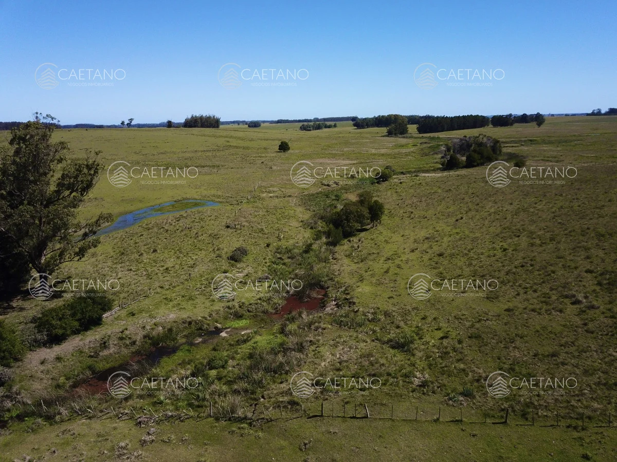 Chacra en José Ignacio, propiedad 216010 -Imagen 1