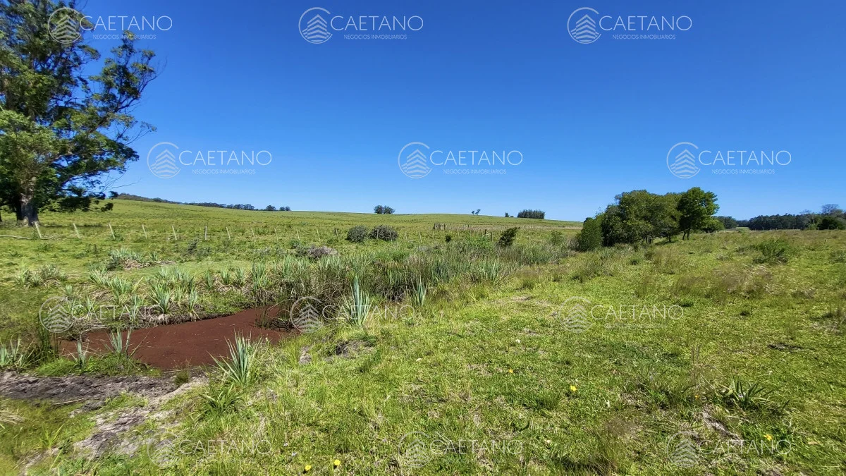Chacra en José Ignacio, propiedad 216010 -Imagen 13