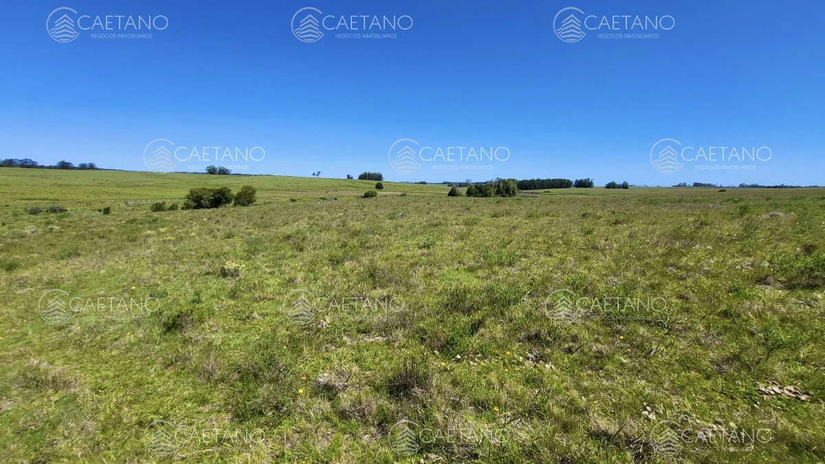 Chacra en José Ignacio, propiedad 216010 -Imagen 15