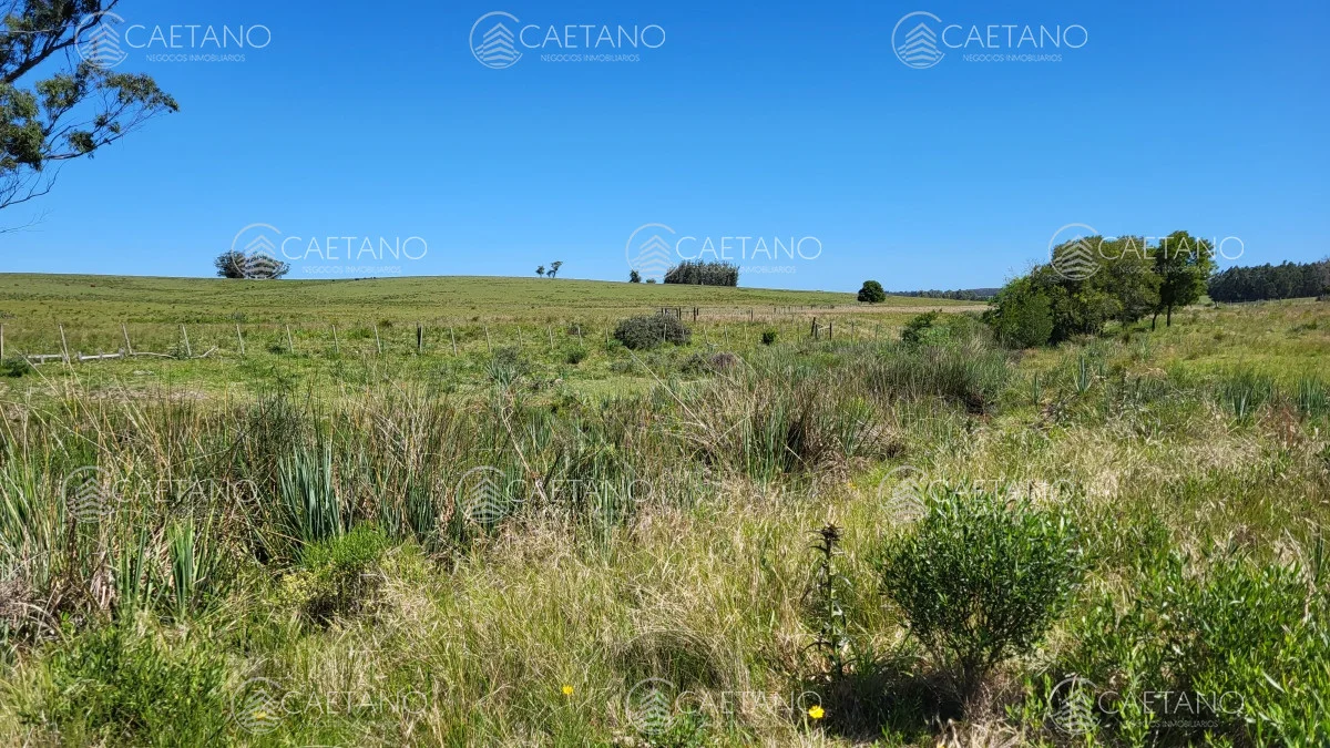 Chacra en José Ignacio, propiedad 216010 -Imagen 16