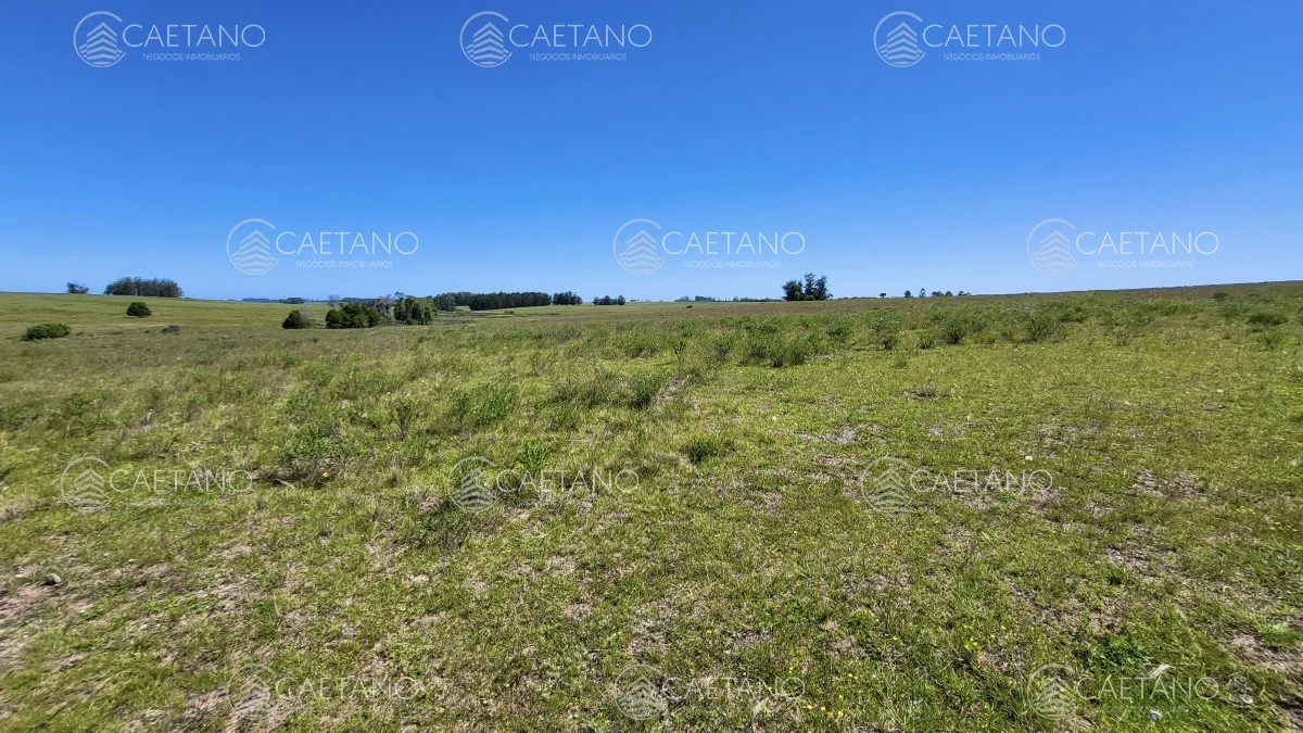 Chacra en José Ignacio, propiedad 216010 -Imagen 17