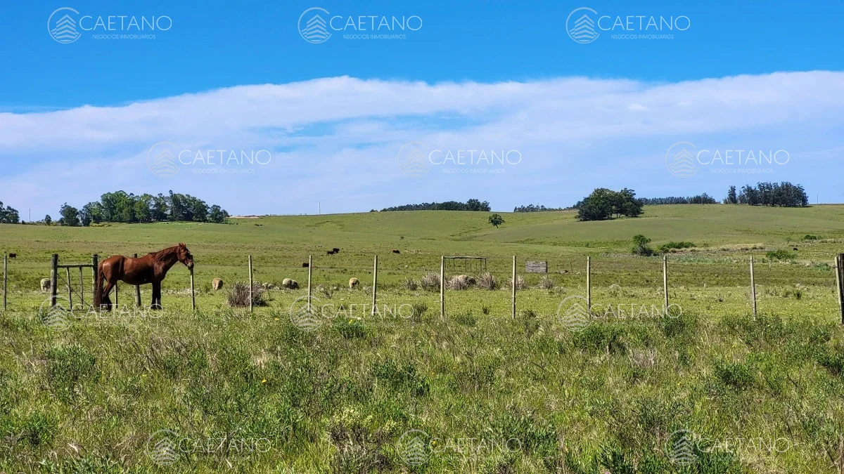 Chacra en José Ignacio, propiedad 216010 -Imagen 18