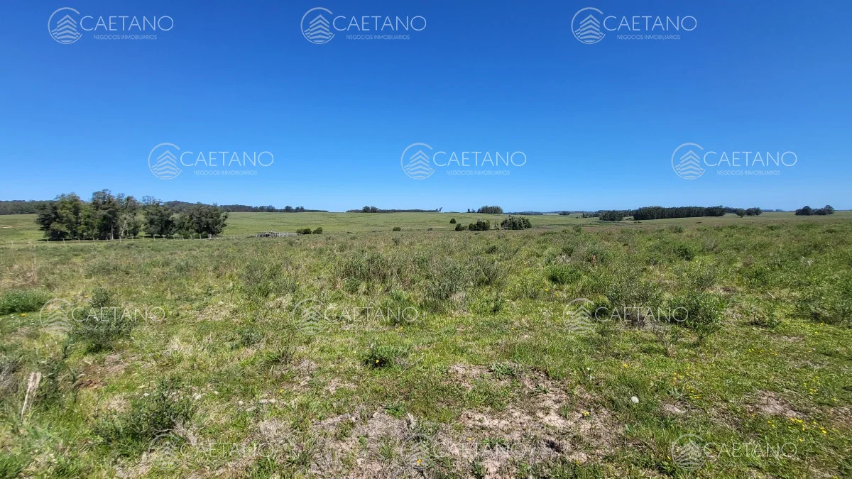 Chacra en José Ignacio, propiedad 216010 -Imagen 19