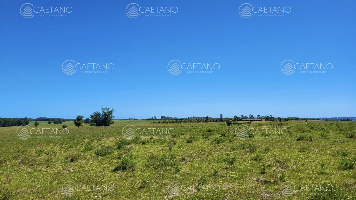 Chacra en José Ignacio, propiedad 216010 -Imagen 3