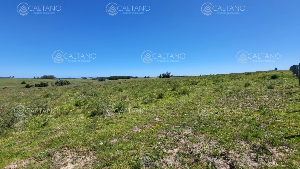 Chacra en José Ignacio, propiedad 216010 -Imagen 23