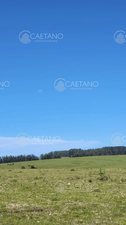 Chacra en José Ignacio, propiedad 216010 -Imagen 24