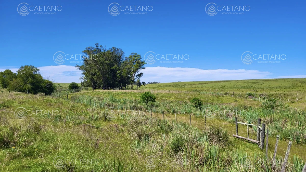 Chacra en José Ignacio, propiedad 216010 -Imagen 4