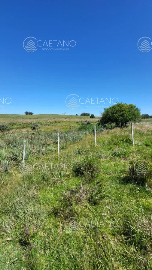 Chacra en José Ignacio, propiedad 216010 -Imagen 6