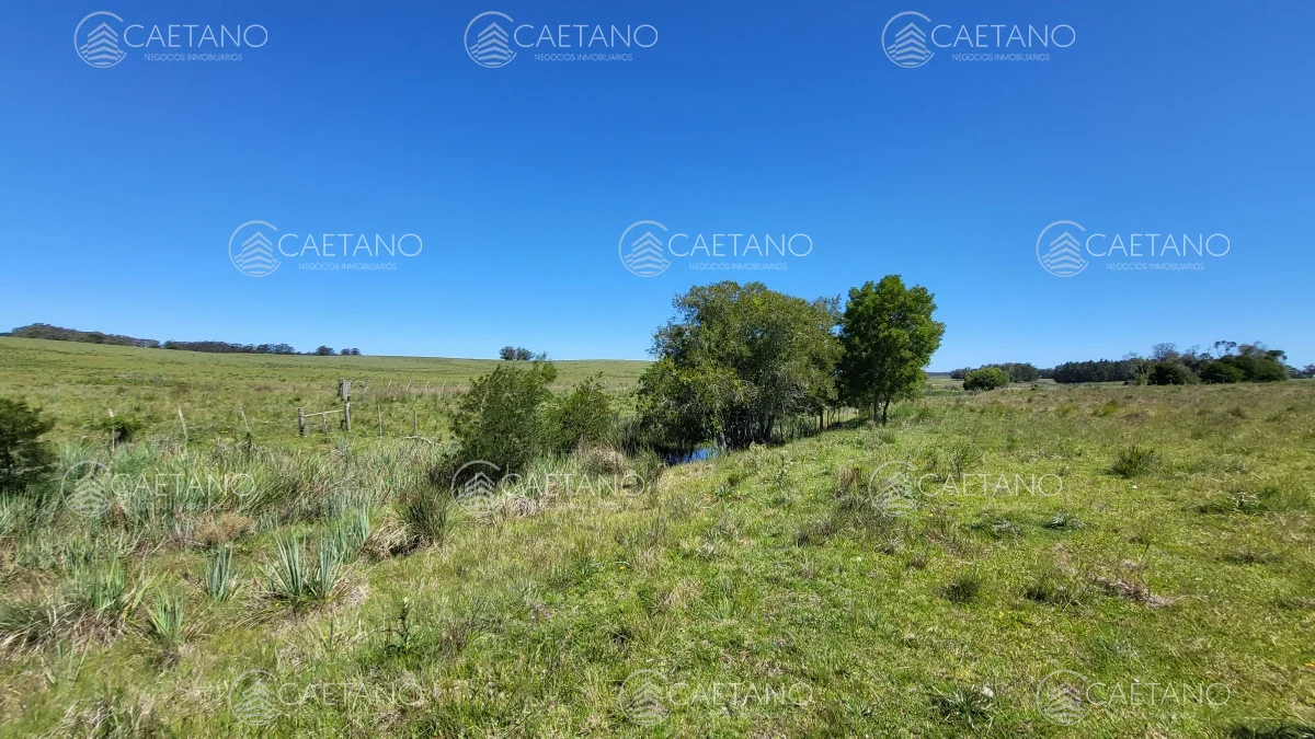 Chacra en José Ignacio, propiedad 216010 -Imagen 10