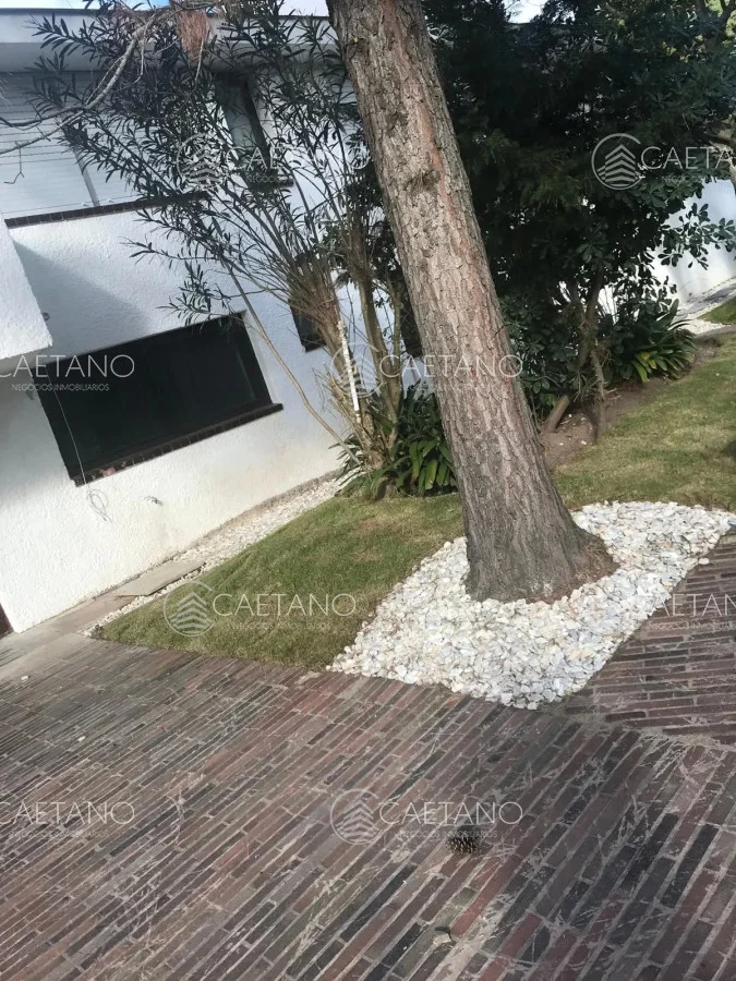 Casa en Barrio Cantegril, propiedad 216158 -Imagen 18
