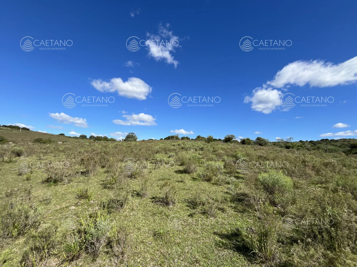 Chacra en Pueblo Eden, propiedad 216223 -Imagen 2