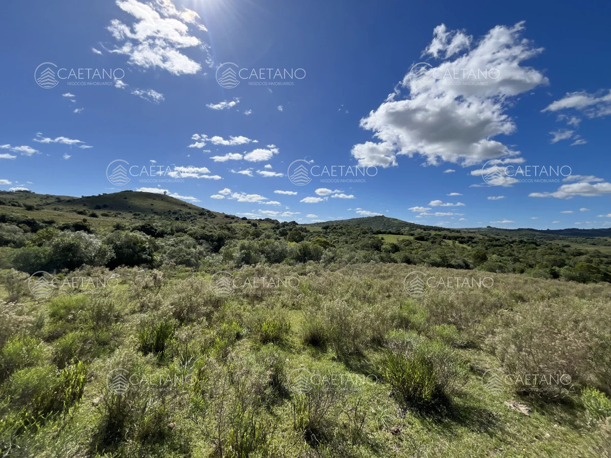 Chacra en Pueblo Eden, propiedad 216223 -Imagen 3
