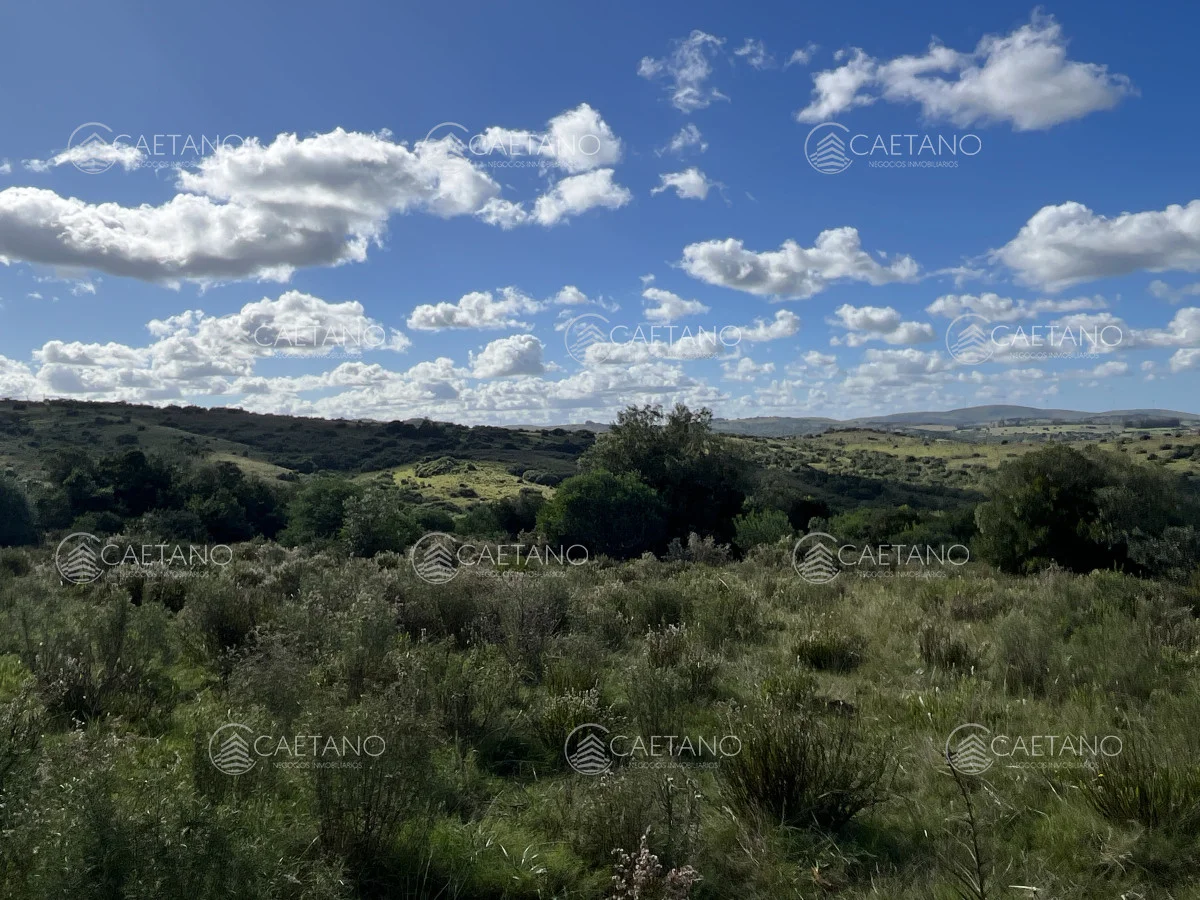 Chacra en Pueblo Eden, propiedad 216223 -Imagen 4