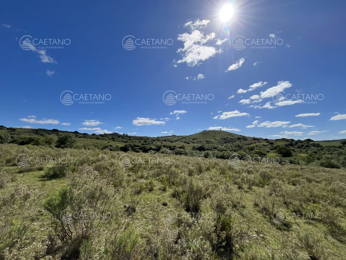 Chacra en Pueblo Eden, propiedad 216223 -Imagen 7