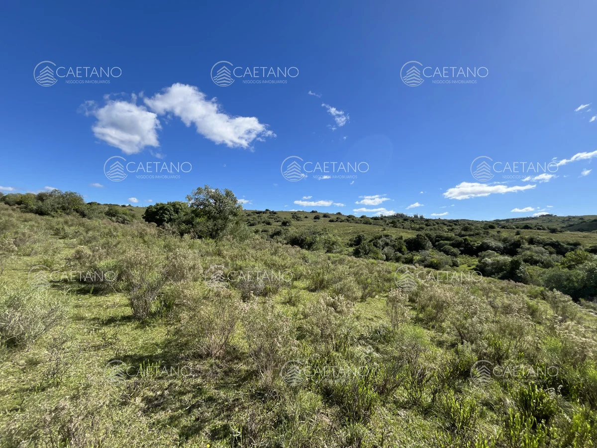 Chacra en Pueblo Eden, propiedad 216223 -Imagen 8